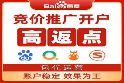 百度竞价与搜索引擎优化（SEO）结合的经典案例